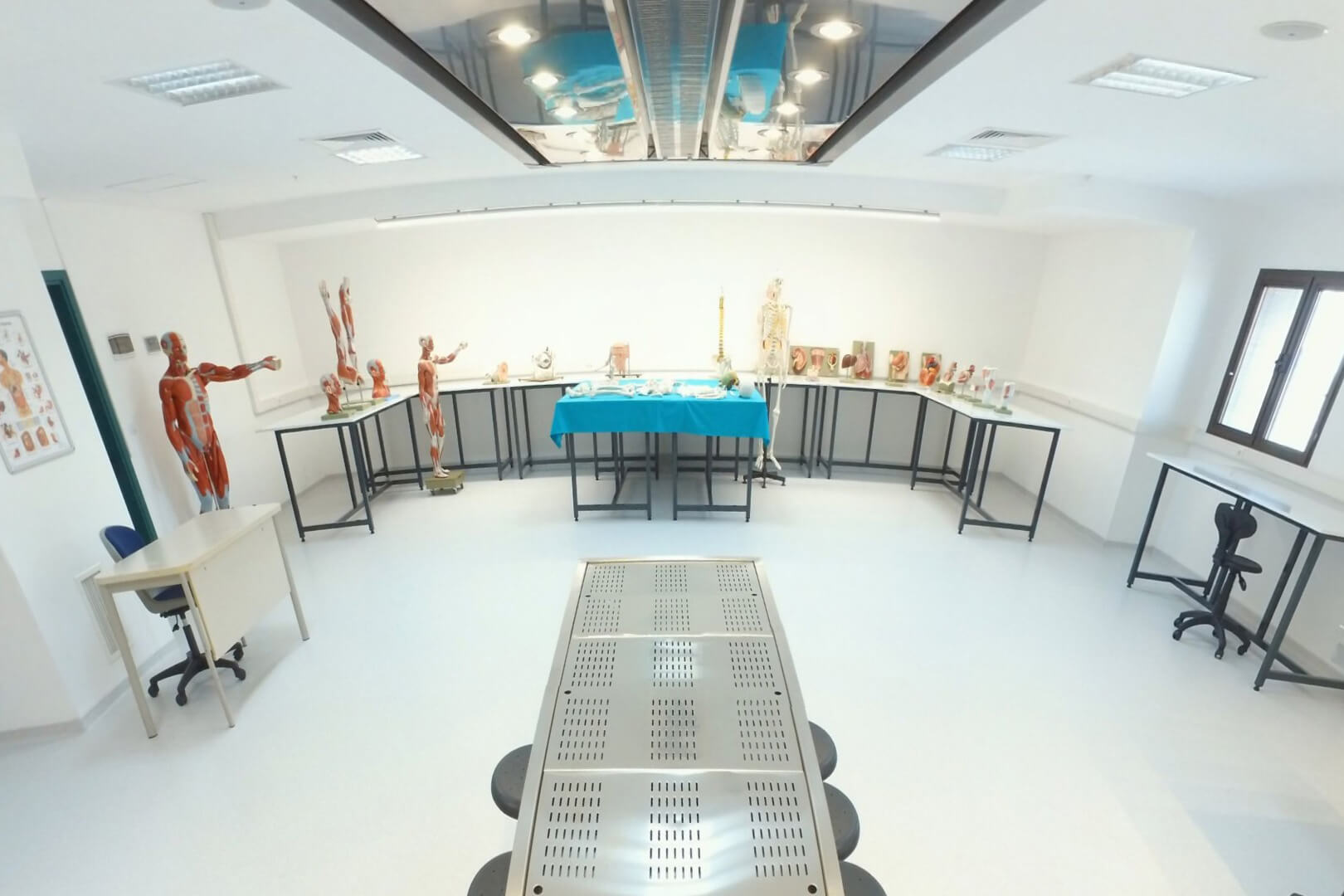 مختبرات ازمير الاقتصادية