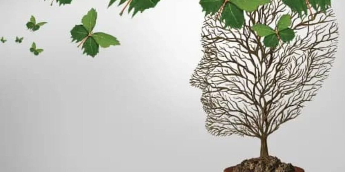 أهم 12 تخصص في علم الاجتماع يمكن دراستها في جامعات تركيا