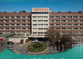 الدراسة في جامعة بيليم