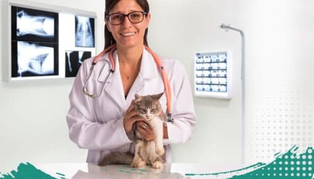 دراسة تخصص الطب البيطري في تركيا