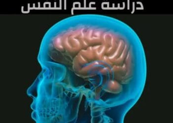 دراسة_علم_النفس_في_تركيا